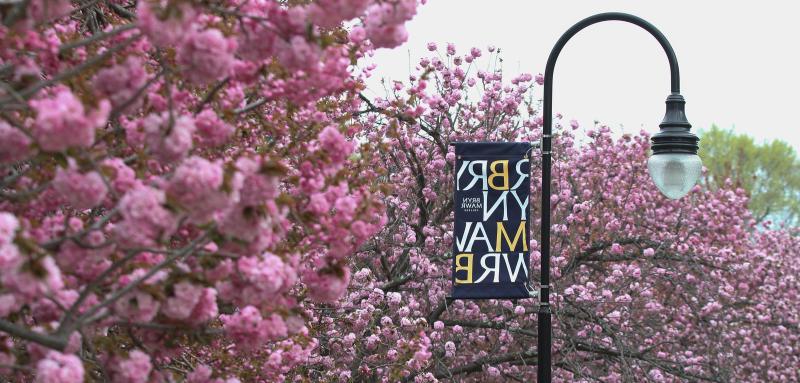 Pink Flowers Lamp Post